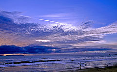  Lone Surfer