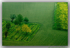  Green Monferrato