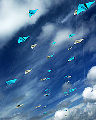  Kite competition