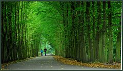  green tunnel