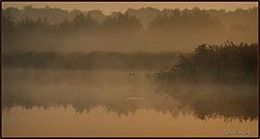  misty morning