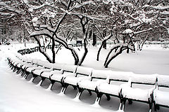  Snowy park