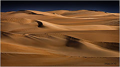  Sand Dunes