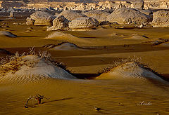  WHITE DESERT