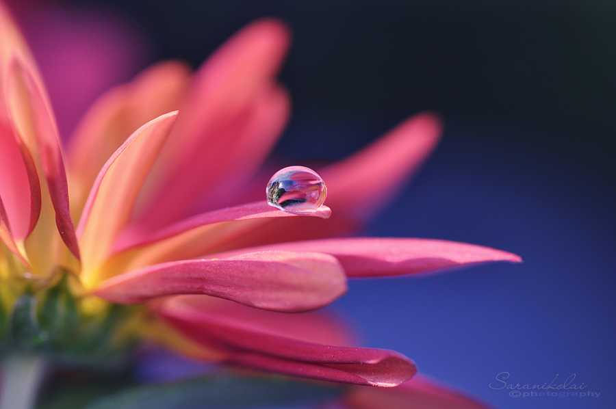  Waterdrop