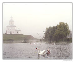 photo "Misty morning on Kamenka river"