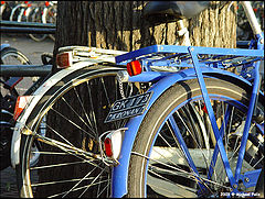 фото "Bicycle parking!!"