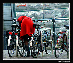 фото "Securing the Bike!!"