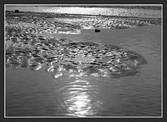 photo "sand & water waves"