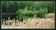 photo "In the country of woods and lakes"