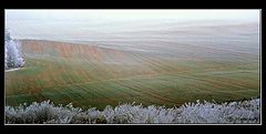 photo "Field arisen from a fog"