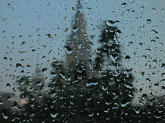 photo "Afther the rain"