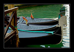 photo "Color of Venice **"