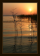 фото "Reflexs of an early morning"