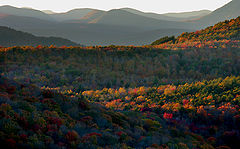 фото "Adirondack Fall Light"