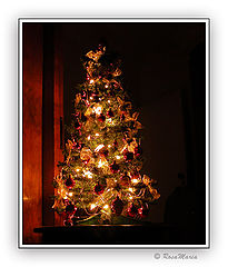 фото "Christmas Time #2"