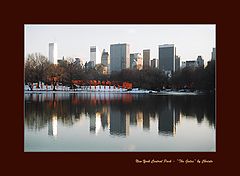 фото "New York - "The Gates" by Christo"