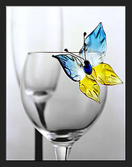 photo "Butterfly and glass"