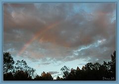 фото "радуга над лесом"