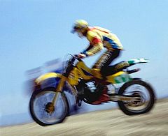 фото "Motocross Driver"