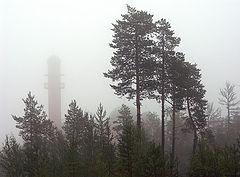 фото "Мечеть в тумане"