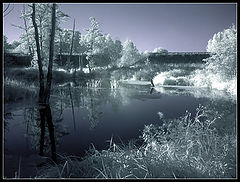 photo "Evening at the river"