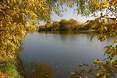 photo "Window to Autumn"