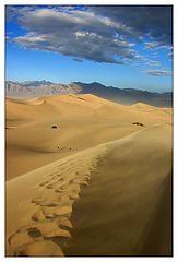 photo "Dune"