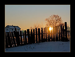 photo "January morning"