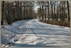 фото "the road"