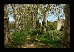 photo "Canal du Midi"