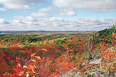 photo "Algonquin Park"