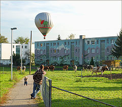 фото "Дело было вечером"