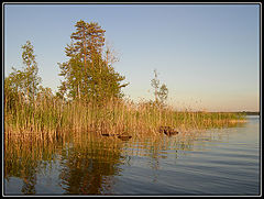 фото "Лето"