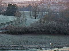 фото "green daybreak"