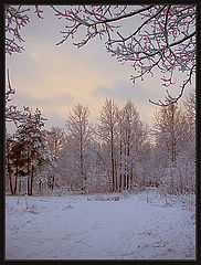 фото "Первый снег в Александрино 2"