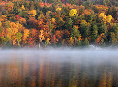 photo "Killarney Park"