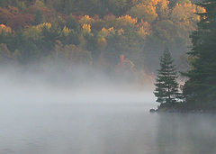 photo "Killarney Park"