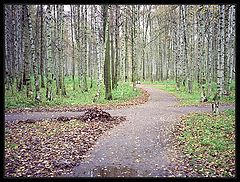 фото "Другое время. Осень"