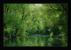 photo "The Green Valley"