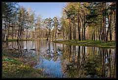 фото "Петергоф. Колонистский парк"