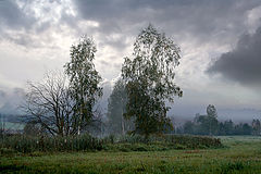 фото "Ненастное утро"