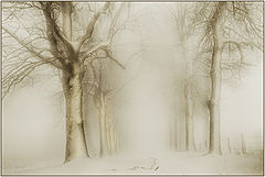 photo "a winter's tale III"