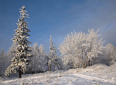 фото "Зимняя сказка"