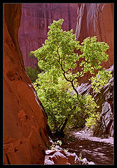 photo "In Slot Canyon / 0059_17"