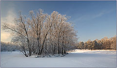 фото "Островок"