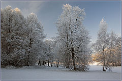 фото "Пушистая зима"