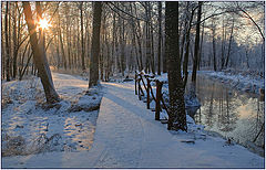 фото "Зимнее солнце"