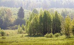 фото "Утренний свет"