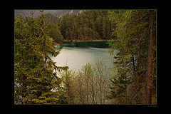 фото "Green lake"